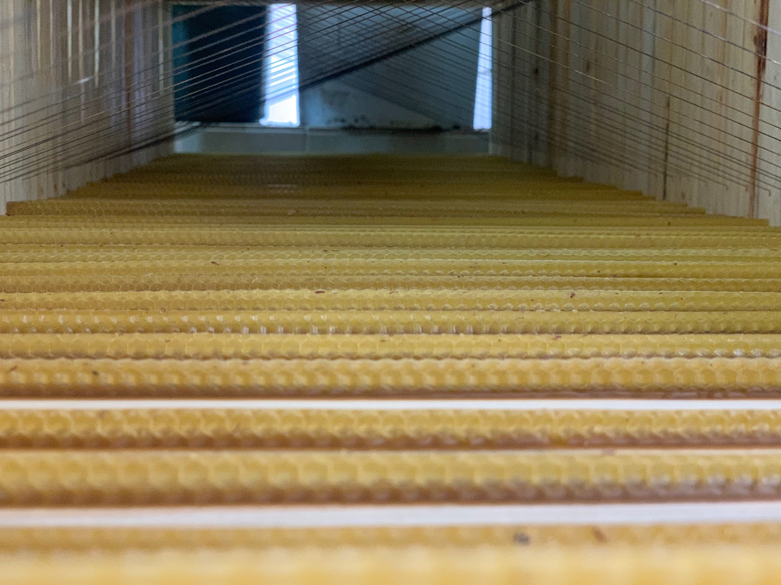 Wax foundation strips in brood frames